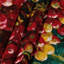 Tapisserie murale Fruit Camu Camu-133647388