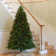 North Valley Spruce Tree with Multicolor Lights