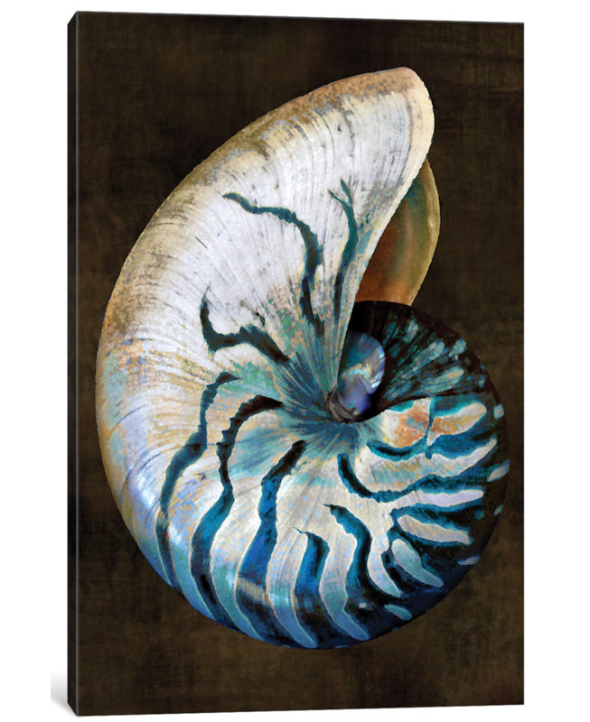 «Ocean Treasure IV», impression sur toile, H 26 po x l 18 po x P 1,5 po, Toile avec cadre noir, Pas de tapis