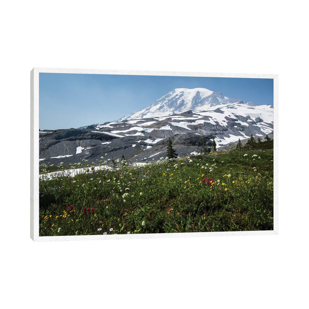 Nahaufnahme von Wildblumen, Mount Rainier National Park, Washington State, USA I