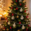 Fairy String Light-1775304335