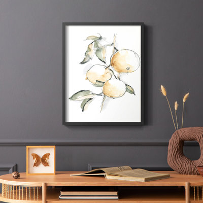 Watercolor Fruit Contour II  Framed Print - Solid Wood