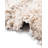 Indoor Rug-252302820