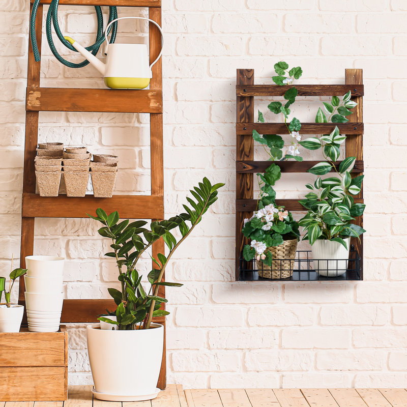 Millwood Pines Carletto Wall Mounted Solid Wood Lattice Panel Trellis ...