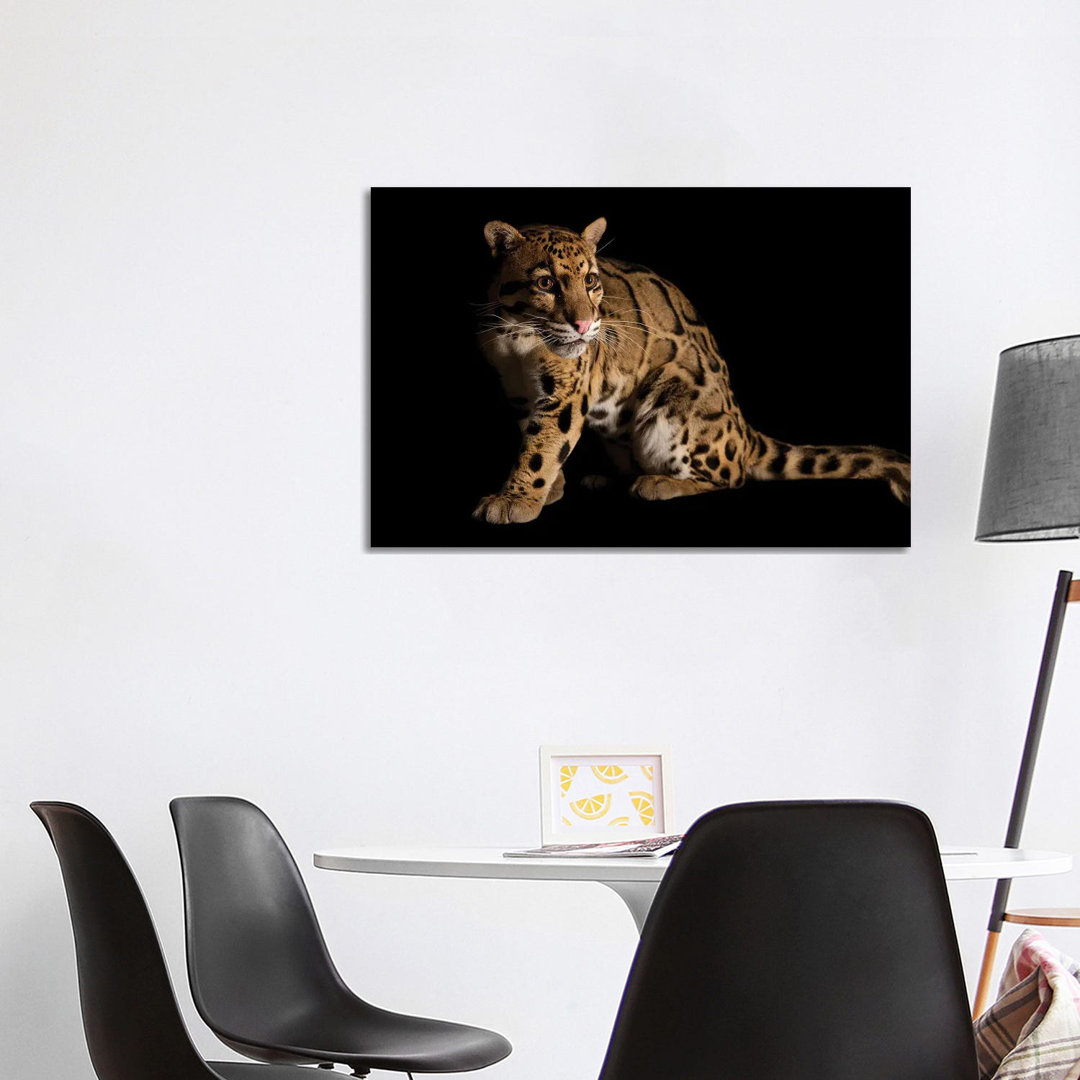 A Vulnerable And Federally Endangered Clouded Leopard At The Houston Zoo II von Joel Sartore - Gallery-Wrapped Canvas Gi...