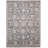 Oriental Indoor Rug-14937371