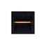 Outdoor Sconce
