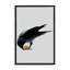Corbeau X37-105806111-105806113