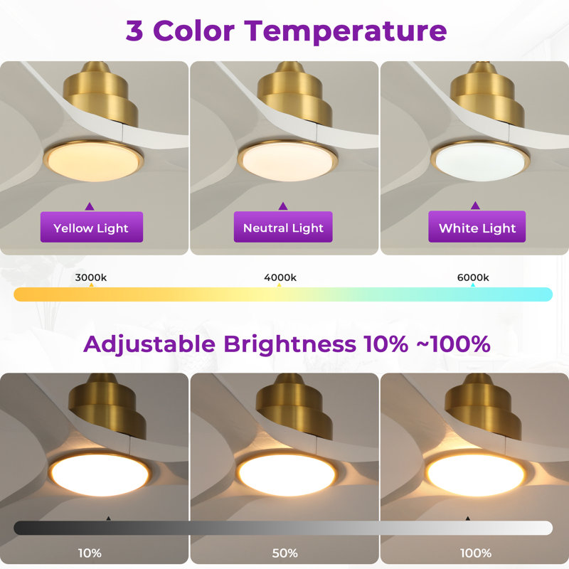 Ventilateur de plafond 52 po avec lumières DEL Karlena (ensemble de 2), Gold with Off White Blade
