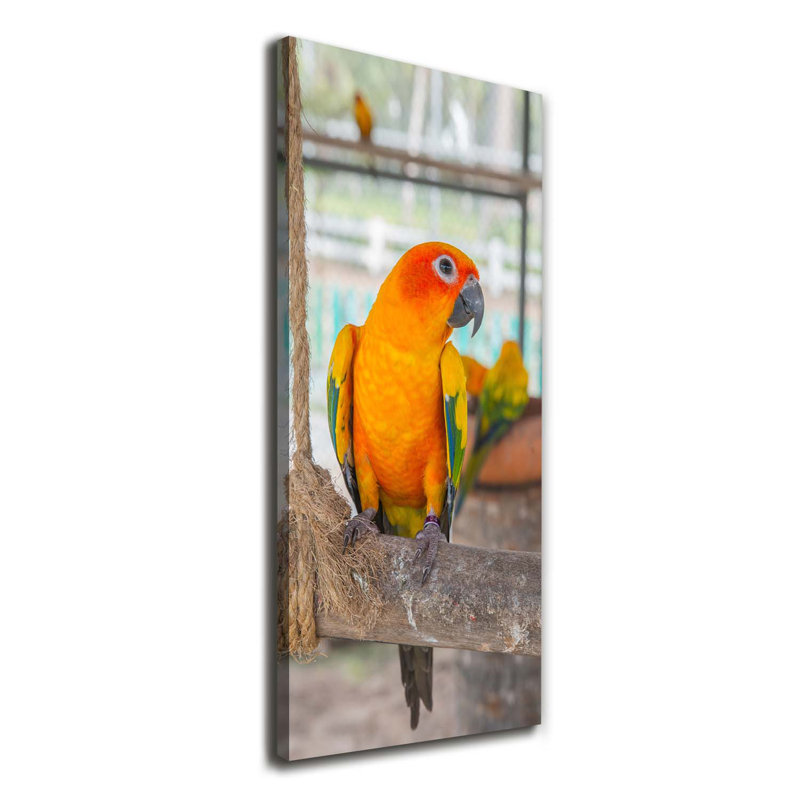 Parrot - Wrapped Canvas Print
