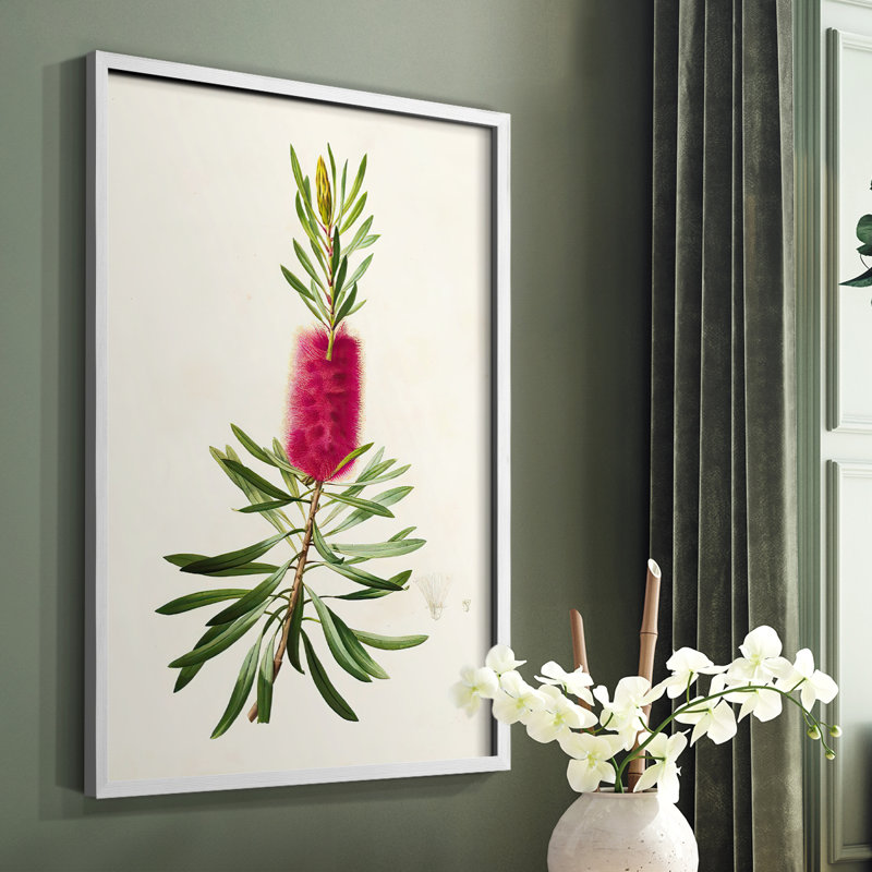 Pretty Pink Botanicals VII Framed Print - Solid Wood, White, 14" H x 11" W