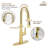 Spring Neck Standard Kitchen Faucet with Dual-Function spray head and Deck Plate-76655466