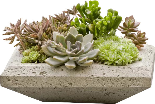 Garden Terrace Planter, Verde