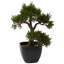 Bonsaï artificiel 11 po en pot