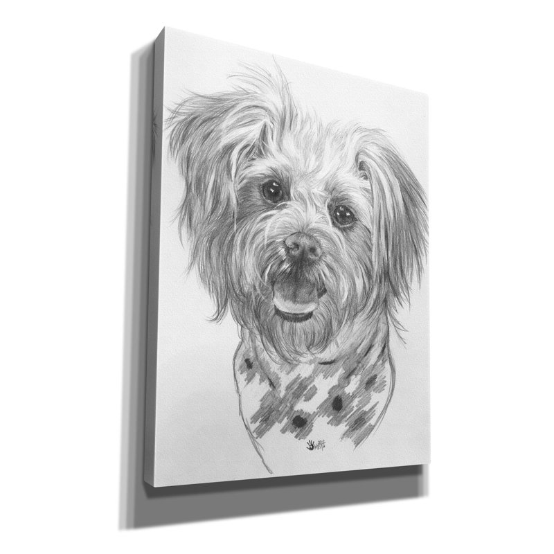 «Keltie Pooranian On Canvas» par Barbara Keith, reproduction, H 16 po x l 12 po x P 0,75 po