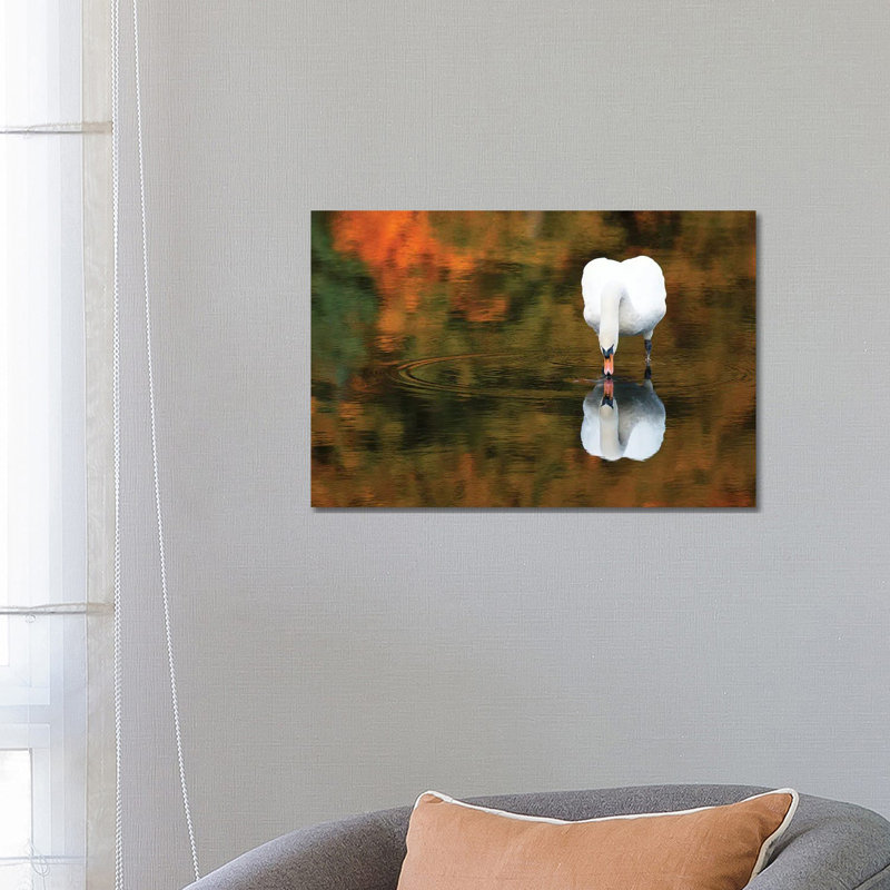 Reflected Swan II by David Gardiner - Print on Canvas, Wrapped Canvas, 66.04 cm H x 45.72 cm W x 3.175 cm D