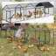 Walk In Chicken Run-1175137649