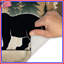 Tapis de bain Bear In Forest-1623332528
