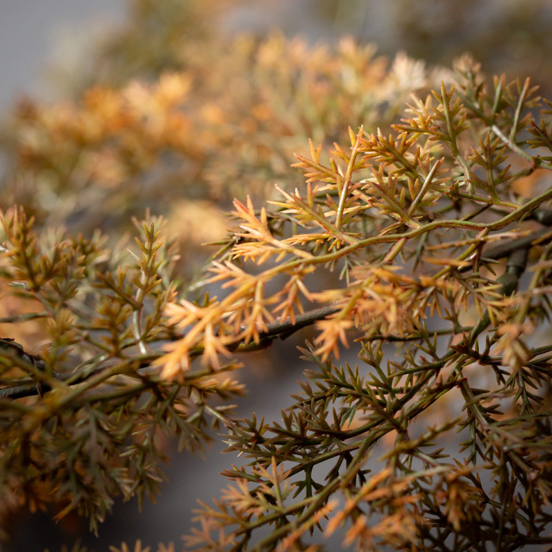 34" Artificial Fall Golden Hanging Cypress Bush, Green-Gold