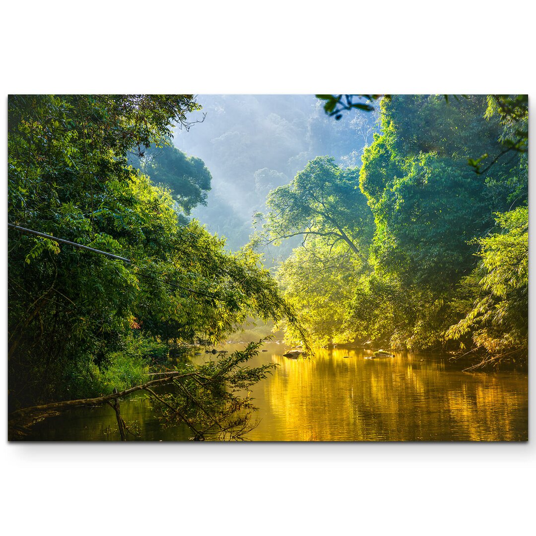 Leinwandbild Fluss im Regenwald