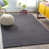 Charcoal Gray