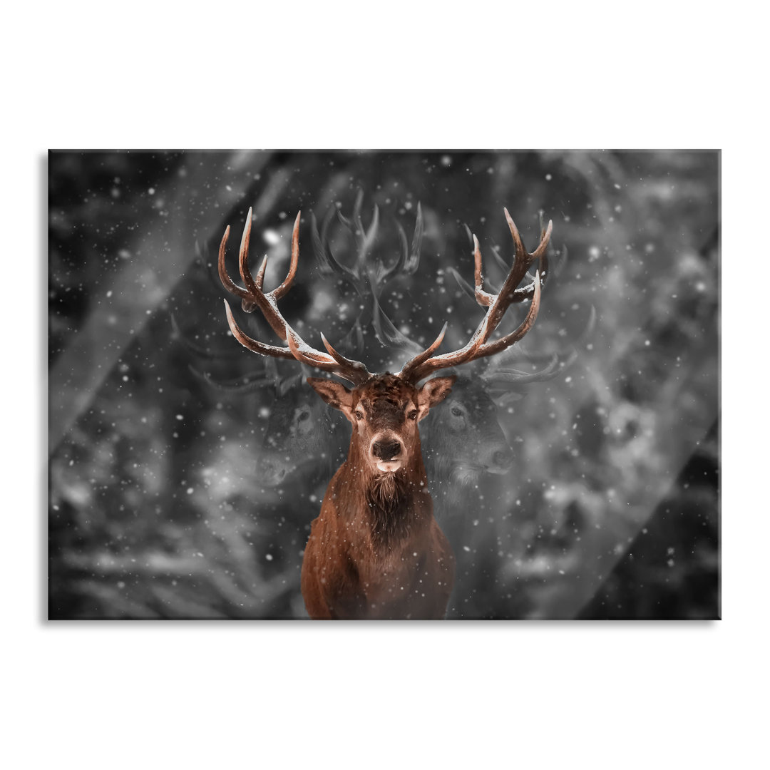 Glasbild Machtvoller Hirsch im Winterwald