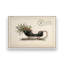 Impression sur toile Northiant Sleigh-1716386892-1716386896