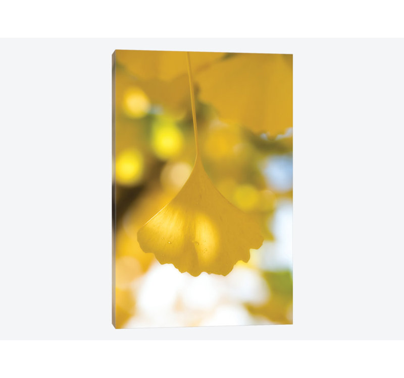 « yellow range », reproduction de photo sur toile, H 12 po x l 8 po x P 0,75 po