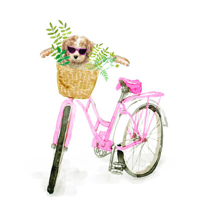 " Dog In Bike Basket "