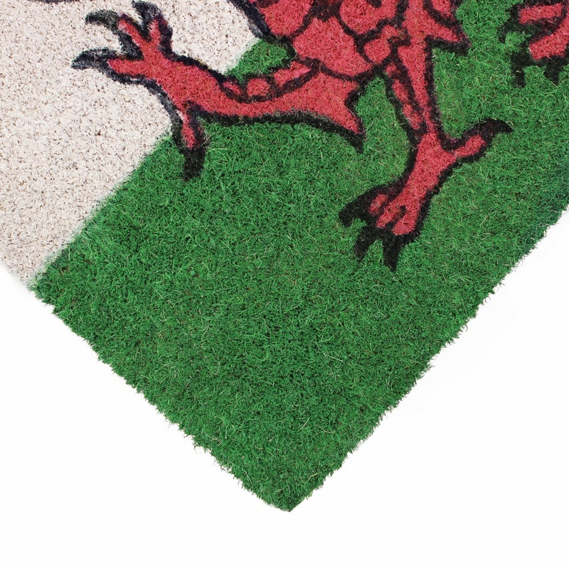 Non-Slip Outdoor Doormat