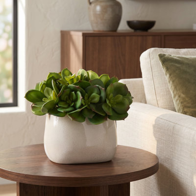 Arrangement succulent dans un vase en céramique