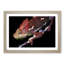 Red Chameleon Lizard in Abstract - Picture Frame Graphic Art Print-55771903-55771902