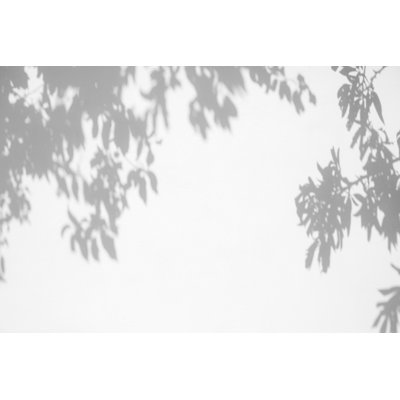 Shadow Of The Leaves - Wrapped Canvas Print