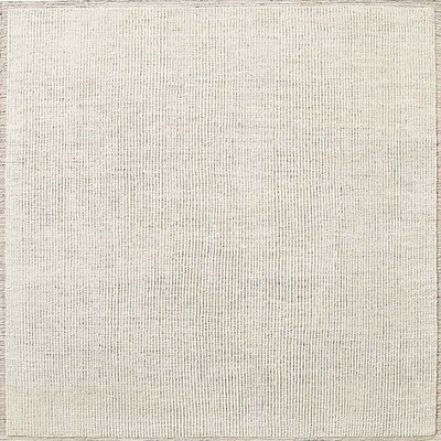 Oriental Indoor Rug