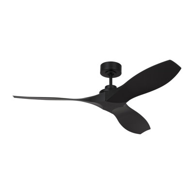 Smart Outdoor Ceiling Fan