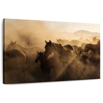 Brampt Wild Horses At Sunset