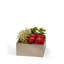 Geometric Cabbage Roses Floral Arrangement in Planter-1375873583
