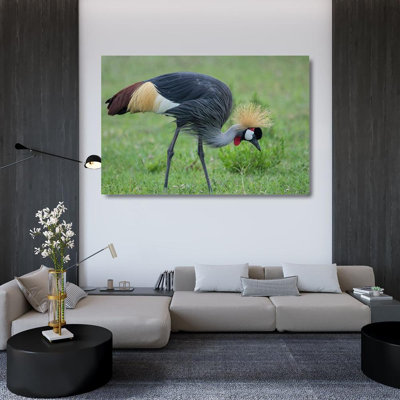 Souders, Paul Gallery Canvas Art: Africa, Tanzania, Ngorongoro Conservation Area, Grey Crowned Crane