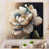 Toile tendue