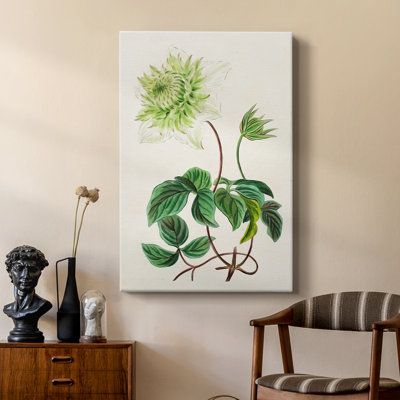 AntiqueFloralFolioVIII - Gallery Cavas sur mesure