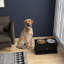 Bols pour chien surélevés avec rangement PawHut