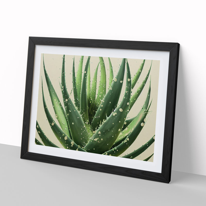 Angelical Aloe Vera Plant - Framed Print, Walnut, 25cm H x 34cm W x 2cm D