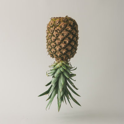 Ripe Pineapple 1 Piece Wrapped Canvas Wall Art