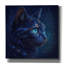 Toile épique Graffiti «Feline Starlight» par Rey Klimt, 18 po x 18 po-330302131