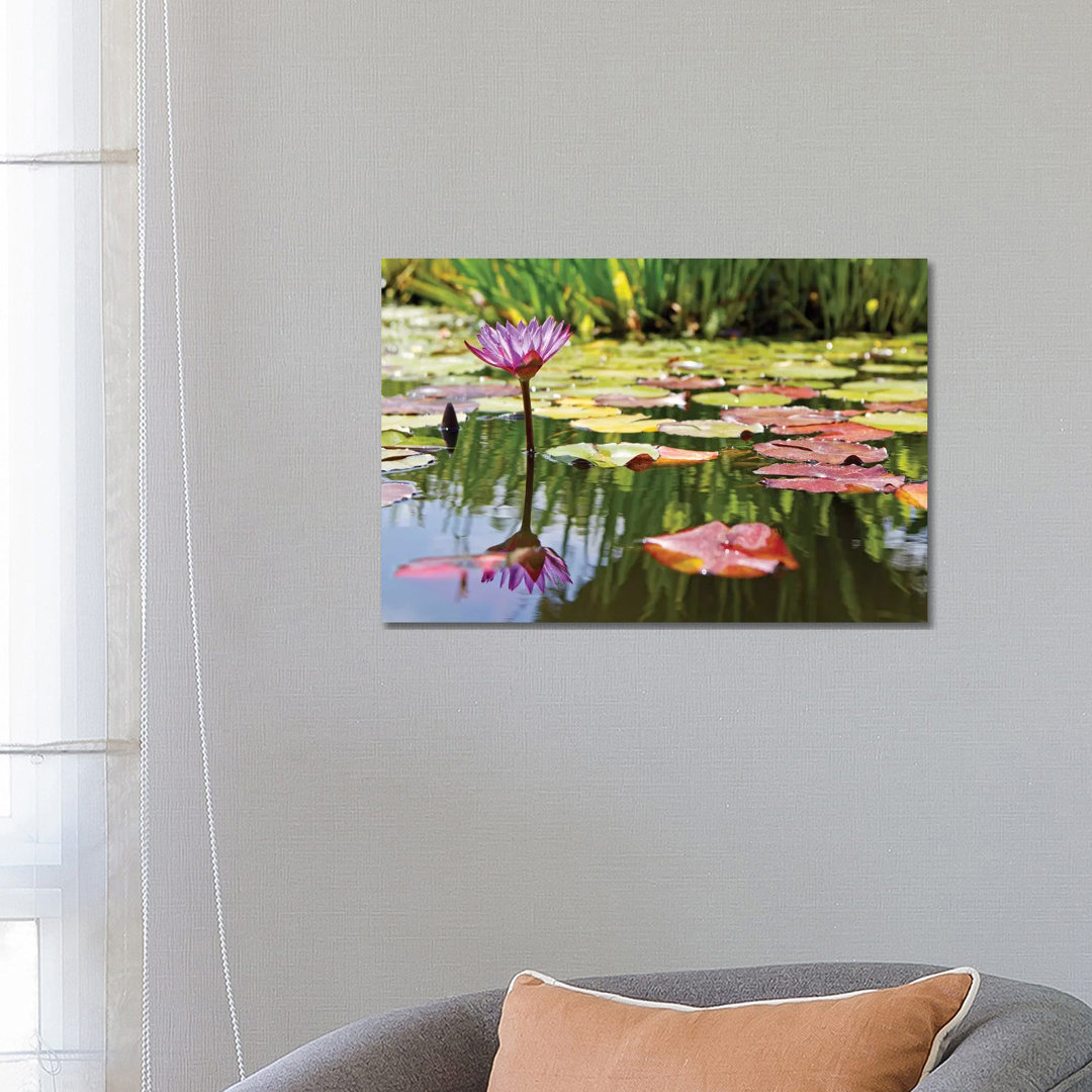 Purple Water Lily by Susan Schmitz - Wrapped Canvas Gallery-Wrapped Canvas Giclée