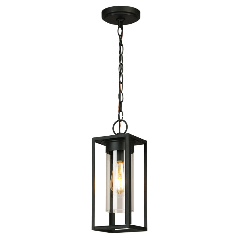 Lanterne suspendue d’extérieur 1 ampoule H 15 po DaMarcus, Noir mat