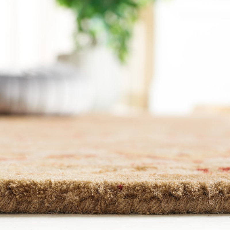 Tapis oriental en laine touffeté à la main Evie, Rectangle 4pi x 6 pi