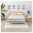 12 Inch Queen Size Hybrid Mattress with Memory Foam & Pocket Springs - Medium Firm Support for Back Pain Relief, CertiPUR-US Certified & Fiberglass-Free