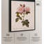Toile damassée rose par Art Remedy-112532606-112532607-113436807