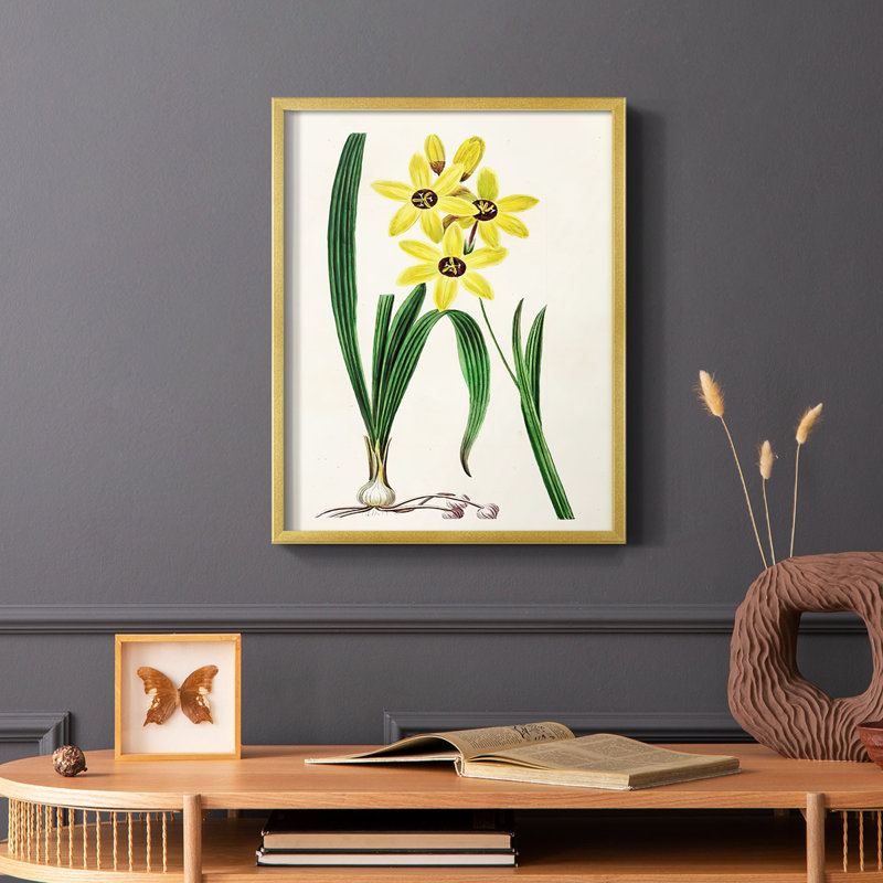 Reproduction encadrée Antique Floral Folio VI - bois massif, H 28 po x l 22 po